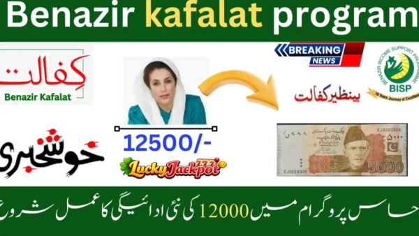 Banzer Incom Sport Program 8171 Check & Registration